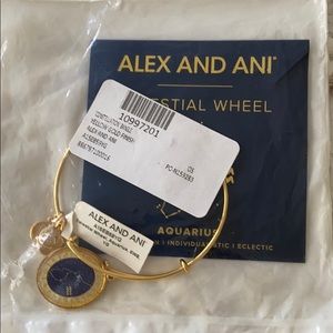 Alex and Ani Aquarius Celestial Wheel Bracelet